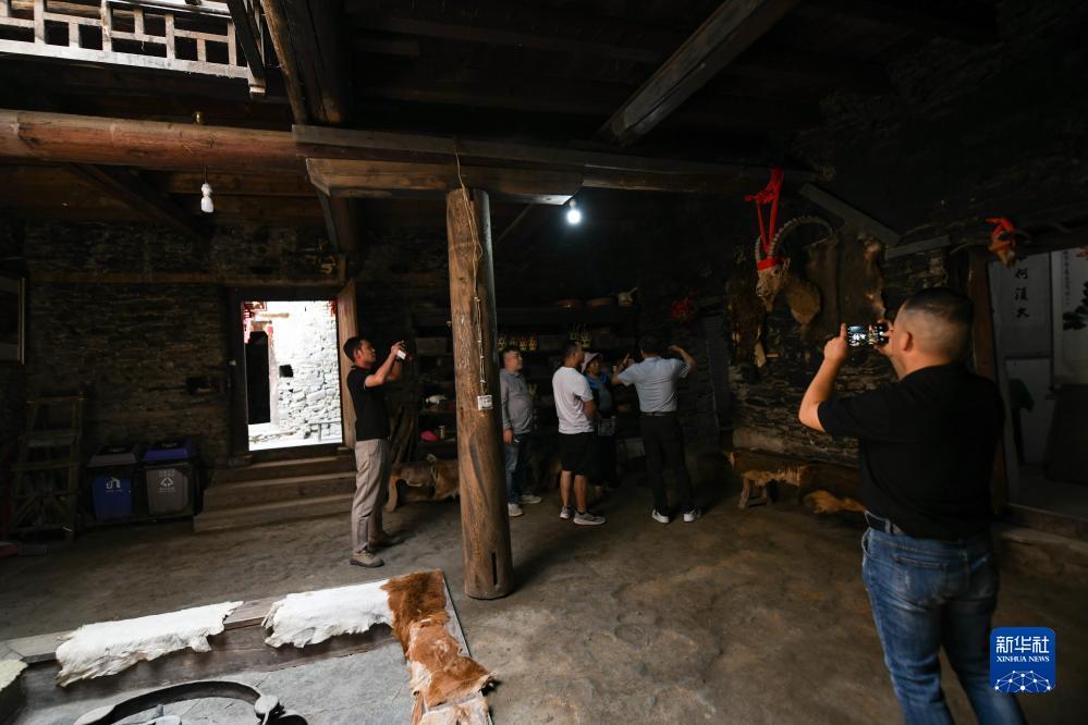 大阳城登录